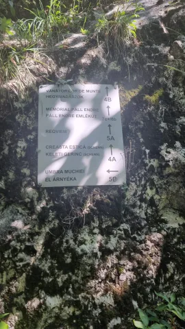 Creasta Estica - Piatra Altarului